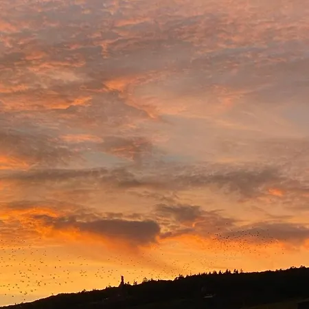 Schlafen Ueber Der Whiskybar