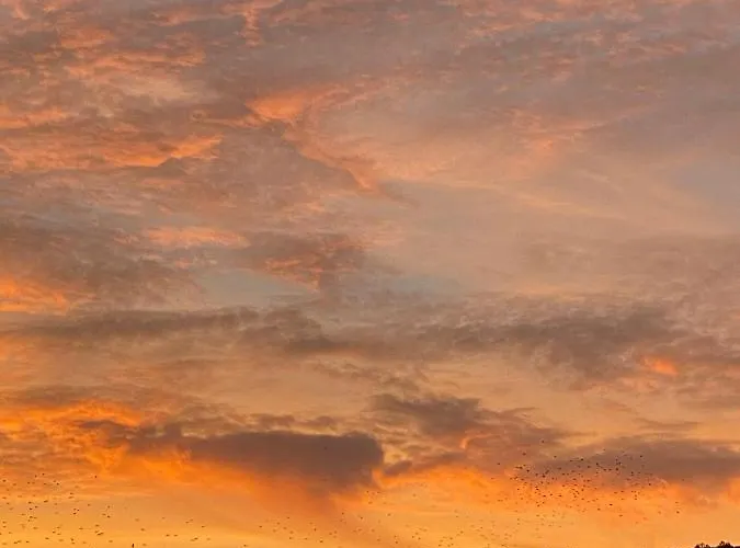 Schlafen Ueber Der Whiskybar